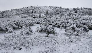 Κακοκαιρία: 30 εκατοστά χιόνι στα χωριά του Οροπεδίου Λασιθίου