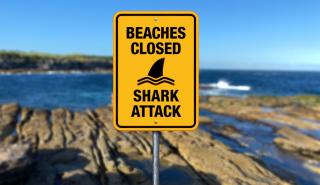 Σίδνεϋ: Κλείνουν οι παραλίες μετά την πρώτη θανατηφόρα επίθεση λευκού καρχαρία εδώ και 60 χρόνια