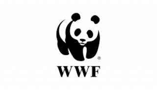 WWF: Αίτημα για άμεση διακοπή των σεισμικών ερευνών στο Ιόνιο