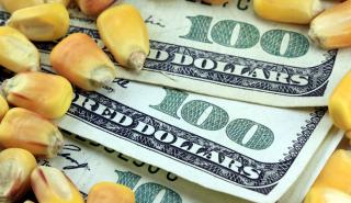 ΗΠΑ: Οι τιμές των τροφίμων θα παραμείνουν υψηλές παρά την κάμψη του πληθωρισμού