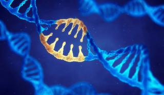 Έρευνα: Βρέθηκαν πάνω από 1.000 γονίδια που αυξάνουν τον κίνδυνο για σοβαρή Covid-19