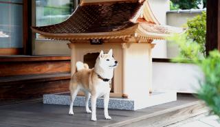 Με 150.000 δολάρια ο σκύλος σας μπορεί να μένει σε μινιατούρα ιαπωνικού ναού