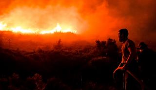 Αρτοποιός (Πυροσβεστική): Εξαιρετικά δυσμενείς συνθήκες στην πυρκαγιά της Πεντέλης - Στα 80 χλμ/ώρα ο άνεμος