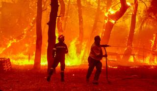 Πυρκαγιές: Ξέσπασαν 58 στο 24ωρο - «Καίγεται» ακόμα η Δαδιά, βελτίωση σε Λέσβο, σε ύφεση η φωτιά της Ηλείας