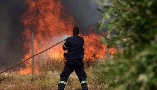 Μαίνεται ισχυρή πυρκαγιά στον Έβρο - Υπό έλεγχο οι φωτιές σε Αταλάντη, Ξυλόκαστρο