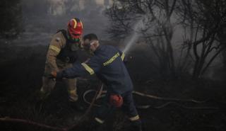 Πυρκαγιές: Καλύτερη εικόνα παρουσιάζει η φωτιά στην Μάνδρα - Παραμένει το μέτωπο στο δάσος της Δαδιάς