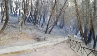 Το ΥΠΠΟΑ για το μυκηναϊκό νεκροταφείο στις Πόρτες Αχαΐας και την πυρκαγιά της 3ης Ιουλίου