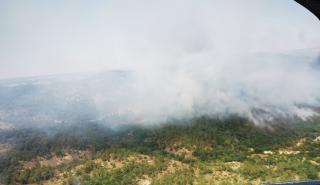 Αγωνία στο μέτωπο του Έβρου: Σε Πρωτοκκλήσι και Σουφλί κατευθύνεται η φωτιά