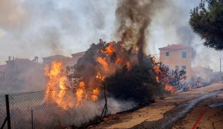 Πολύ υψηλός κίνδυνος πυρκαγιάς αύριο για 4 περιφέρειες της χώρας - Συστάσεις ΓΓΠΠ και Πυροσβεστικής