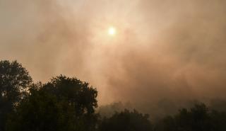 Πυρκαγιά σε δασική έκταση στο Πάνακτο Βοιωτίας στα Δερβενοχώρια
