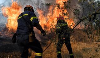Πυρκαγιά στην περιοχή Αστακός Αιτωλοακαρνανίας