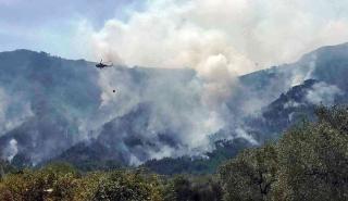 Ρόδος: Πυρκαγιά σε δασική περιοχή - Ισχυροί άνεμοι στο σημείο