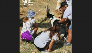 World Clean-Up Day: H Τeleperformance Greece γιόρτασε έμπρακτα με μια δράση καθαρισμού ανοιχτή για το κοινό