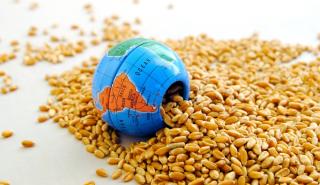 ΟΗΕ: Ρωσία και ΟΗΕ συζητούν για τις εξαγωγές λιπασμάτων και σιτηρών