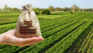 ΚΕΠΕ: Σε ιστορικό υψηλό οι εξαγωγές αγροτικών προϊόντων - Στα 10,85 δισ. ευρώ