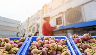 Αύξηση 23,26% στις εισαγωγές φρούτων και λαχανικών το πεντάμηνο του 2024