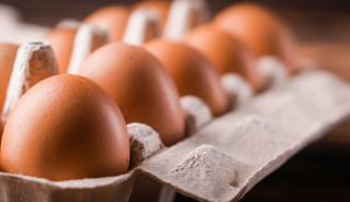 ΗΠΑ: «Βουτιά» στις τιμές των αυγών - Η μεγαλύτερη πτώση των τελευταίων 72 ετών