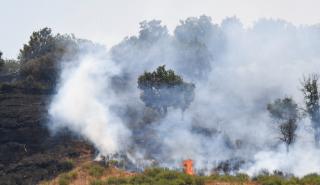Ιταλία: Πενήντα πυρκαγιές στη Σικελία - Δεκάδες κάτοικοι εγκατέλειψαν τα σπίτια τους στα περίχωρα του Παλέρμο