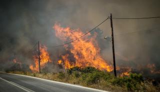 Θεσσαλονίκη: Φωτιά στην περιοχή της Αγίας Τριάδας