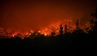 Πυρκαγιές: Μάχη με τις φλόγες σε Αίγιο, Κέρκυρα, Κάρυστο, Ρόδο και Υλίκη