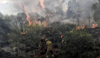 Πυρκαγιά στη περιοχή Καλλιθέα στο Λουτράκι - Εκκενώνονται κατασκηνώσεις