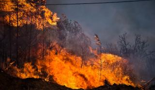 Ολονύχτια μάχη με τις φλόγες σε Λαμία, Ρόδο και Κάρυστο - Τραγωδία στη Μαγνησία με 2 νεκρούς