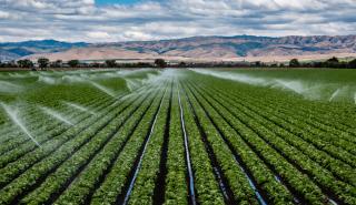 Συστάσεις στους παραγωγούς για την άρδευση των καλλιεργειών στον καύσωνα