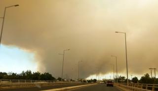 Συνεχίζεται η μάχη με τις φλόγες στην Αλεξανδρούπολη -Αναζωπυρώσεις στην περίμετρο