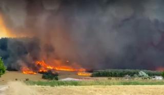 Έκταση μεγαλύτερη των 826.000 στρεμμάτων είχε κατακάψει η πυρκαγιά στον Έβρο - Χάρτες
