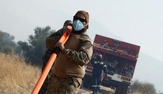 Σε εξέλιξη πυρκαγιά στο Πλατύ Μεσσηνίας - Χωρίς ενεργό μέτωπο η φωτιά στο Πεταλίδι