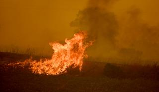 Πολύ υψηλός κίνδυνος πυρκαγιάς την Παρασκευή σε 5 περιφέρειες