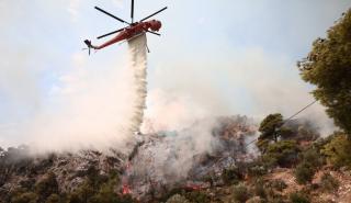 Προσανάμματα, φλόγιστρο και πευκοβελόνες στο σπίτι του 45χρονου που συνελήφθη για εμπρησμό στον Αυλώνα