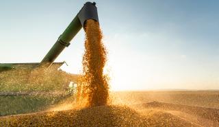 Η Κομισιόν ζητά επιβολή δασμών στις εισαγωγές σιτηρών από Ρωσία και Λευκορωσία