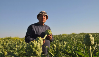 Το «αγροτικό θαύμα» του Ισραήλ κινδυνεύει από την μαζική έξοδο αλλοδαπών εργατών