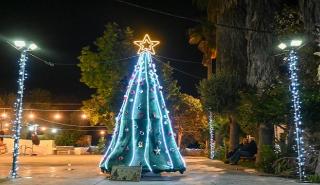 Δήμος Πύλου - Νέστορος: Φωταγωγήθηκαν τα χριστουγεννιάτικα δέντρα σε Κορώνη και Ασίνη