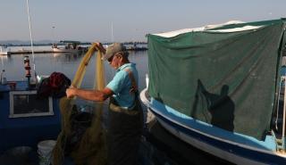 ΥΠΑΑΤ: Πάνω από μισό δισ. ευρώ για αλιεία και υδατοκαλλιέργεια