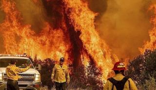 Σχεδόν 4 δισ. στρέμματα δάσους έκαψαν οι φλόγες το 2023- Χρονιά «Αρμαγεδδών» για το περιβάλλον