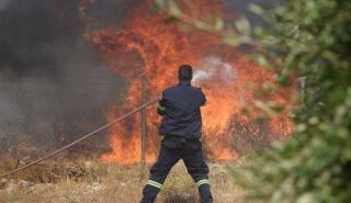 Κύπρος: Ανεξέλεγκτη μεγάλη πυρκαγιά στην Πάφο - Η Ελλάδα συνδράμει με δύο αεροσκάφη