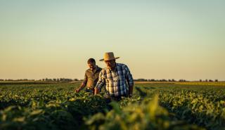 Αγρότες: Αλλαγές και παρεμβάσεις που σχεδιάζει η κυβέρνηση