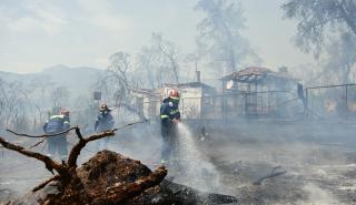 Πυροσβεστική: 31 αγροτοδασικές πυρκαγιές σε όλη την χώρα το τελευταίο 24ωρο