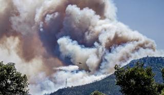 Πάρνηθα: Μεγάλη φωτιά ξέσπασε στην περιοχή Κατσιμίδι