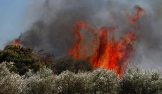 Χωρίς ενεργό μέτωπο οι πυρκαγιές σε Βάρης-Κορωπίου και Αργολίδα