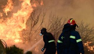 Καλύτερη η εικόνα της φωτιάς στην Εύβοια - Δεν υπάρχει ενιαίο ενεργό μέτωπο