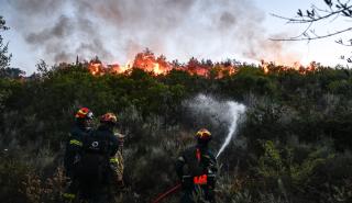 Χωρίς ενεργό μέτωπο η πυρκαγιά στο Σέληνο Χανίων