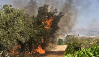 Σε ύφεση η φωτιά στην περιοχή Μεσαύλια του Δήμου Πλατανιά