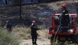 Εύβοια: Φωτιά στον Αλμυροπόταμο - Κοντά σε σπίτια οι φλόγες και μήνυμα από 112