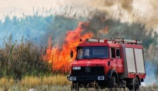 Υπό μερικό έλεγχο πυρκαγιά σε δασική έκταση στην Τερψιθέα Ναυπακτίας