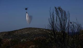Δράμα: Συνεχίζεται η μάχη με τη φωτιά στο όρος Φαλακρό - Βελτιωμένη η εικόνα