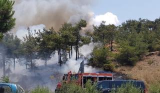 Φωτιά στον Βαρνάβα Αττικής - Μηνύματα από το 112