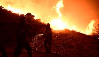 Φωτιά στην Πορτογαλία: Κάηκαν τουλάχιστον 50 τετραγωνικά χιλιόμετρα στη Μαδέρα